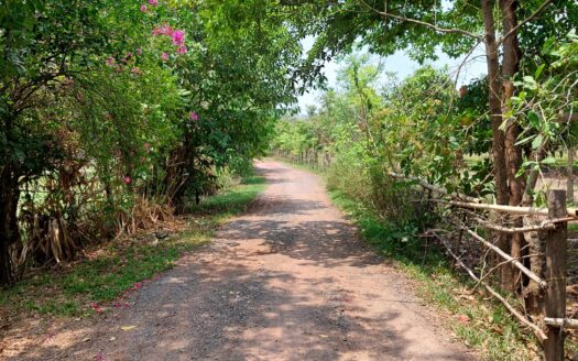 Land For Sale in Tor Teoung Tngai   ***PRICE REDUCED***