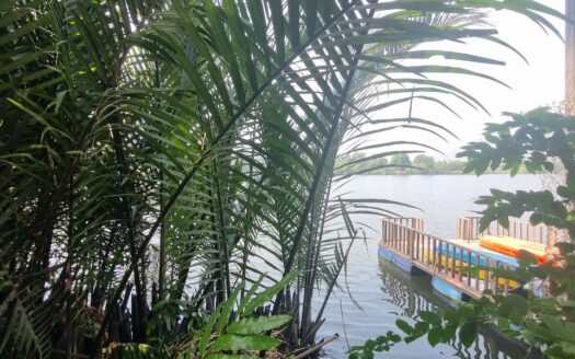 Riverfront Land for Sale in Kampot