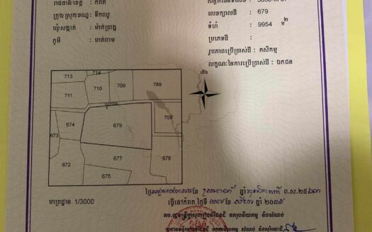 Land For Sale in Steung Kaev