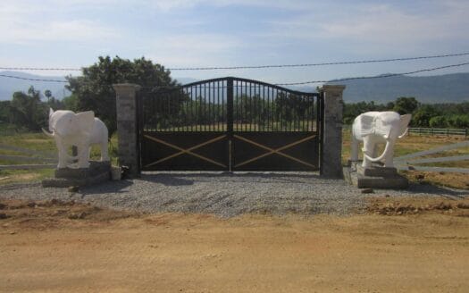 Land For Sale in Phnom Sar (White Mountain area)