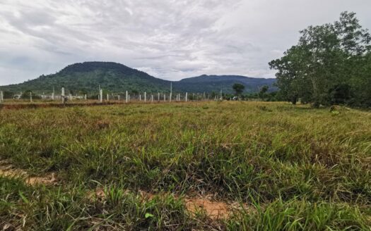 Land For Sale in Veal Pouch!!!