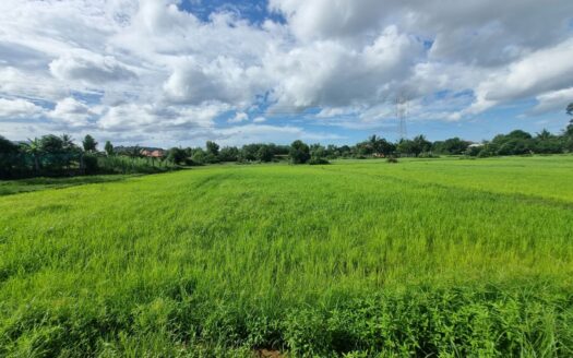 Land For Sale in Anduong Khmer Village