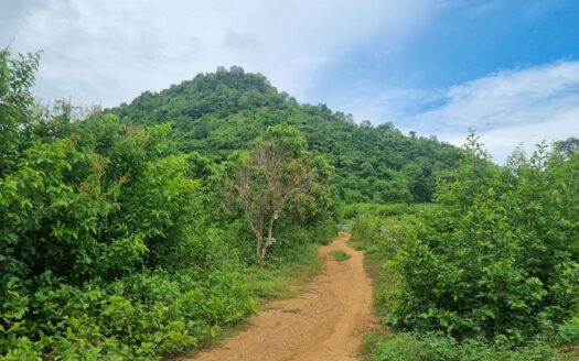 Land For Sale in Anduong Khmer Village