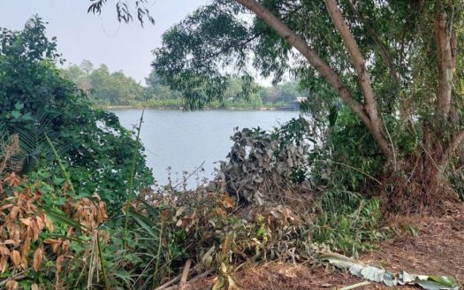 Riverside Land For Sale in Kampot!!    **REDUCED**