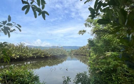 Riverside Plots For Sale in Steung Keo