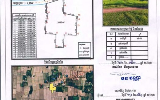 Land For Sale in Vat Ang Village!!