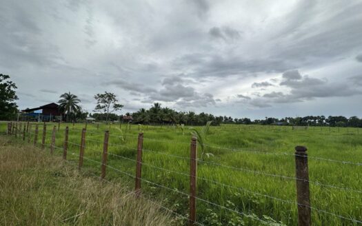 Land For Sale in Vat Ang Village!!