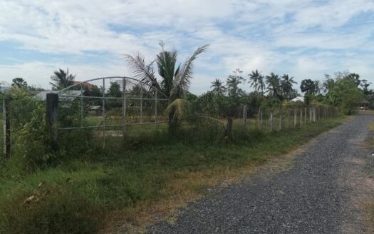 Land For Sale in Chum Kriel!!