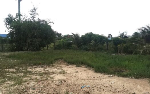 Land For Sale in Chum Kriel!!