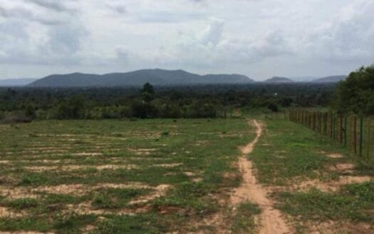 Mountain Land For Sale in Steung Keov