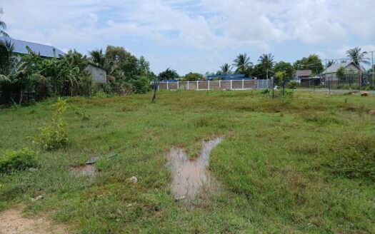 Plots For Sale in Andoung Khmer!!