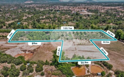 1.25 Hectare Durian Farm For Sale in Steng Keo!!