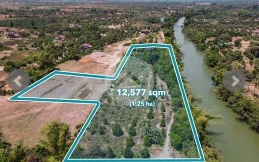 1.25 Hectare Durian Farm For Sale in Steng Keo!!