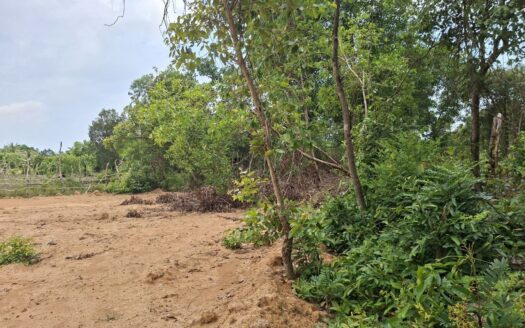 Land For Sale In Bokor District!!