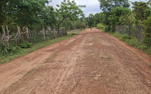 Farm For Sale Tor Tuong Tngai!!
