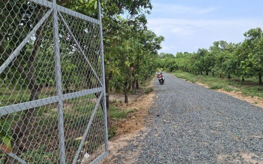 Farm For Sale Tor Tuong Tngai!!
